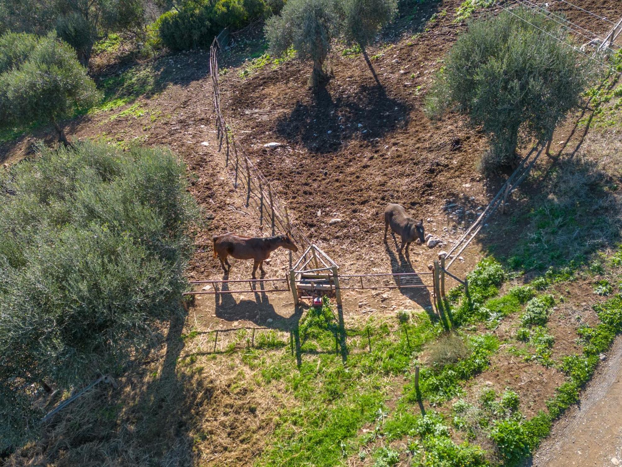 Agriturismo Buratta Фонтебланда Экстерьер фото